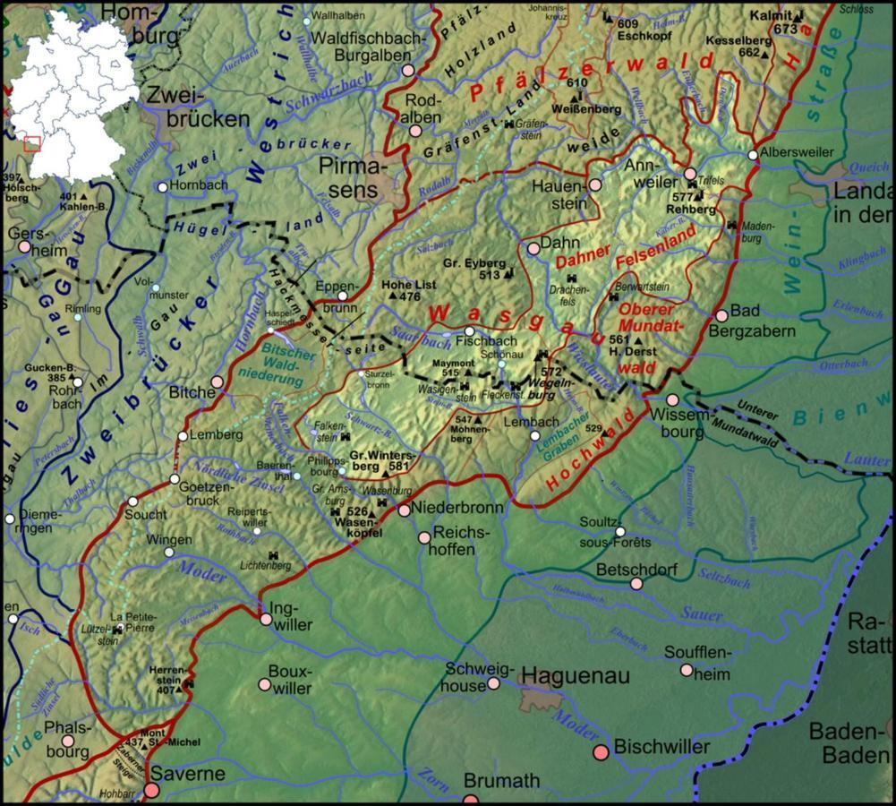 Fewo Pfaelzer Felsenlandschaft Pirmasens Esterno foto